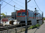 CIMG0131.jpg