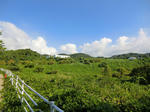 CIMG0139.jpg