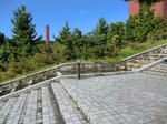 CIMG0142.jpg