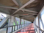 CIMG0146.jpg
