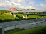 CIMG0153.jpg