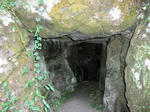 CIMG0167.jpg