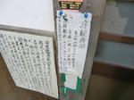 CIMG0172.jpg