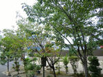 CIMG0184.jpg