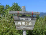 CIMG0190.JPG