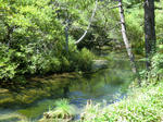 CIMG0194.JPG