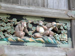 CIMG0216.JPG