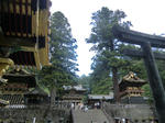 CIMG0217.JPG