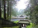 CIMG0223.JPG