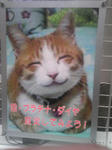 SH350004.jpg