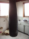 PB230240.JPG