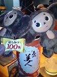 dd120331.jpg