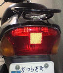 7100497d.jpg