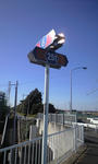 125b6e99.jpg