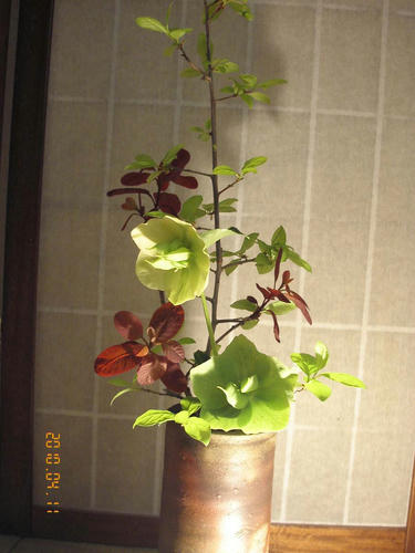 生け花4.11