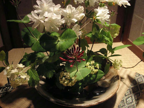 今日の花 4.30