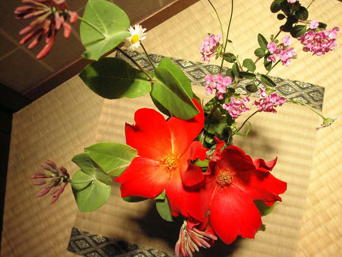 生け花 5.11