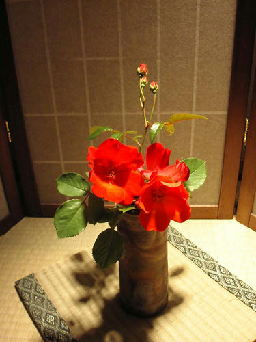 今日の花 5.15