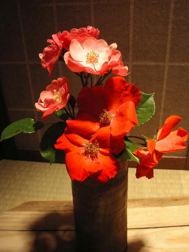 生け花5.25