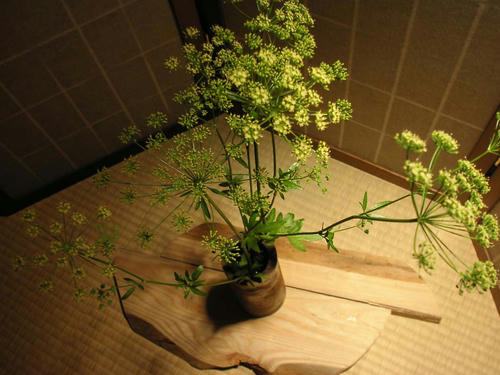 生け花 5.26