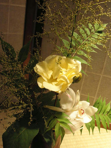 生け花 6.8