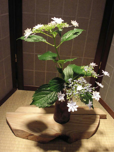 生け花6.19