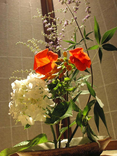 生け花6.22