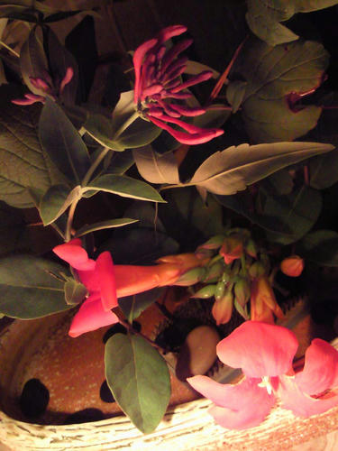 生け花8.1