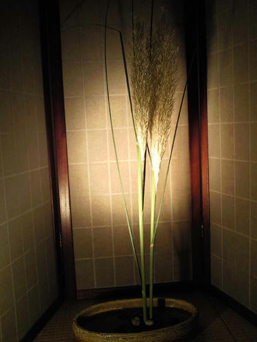 生け花8.14