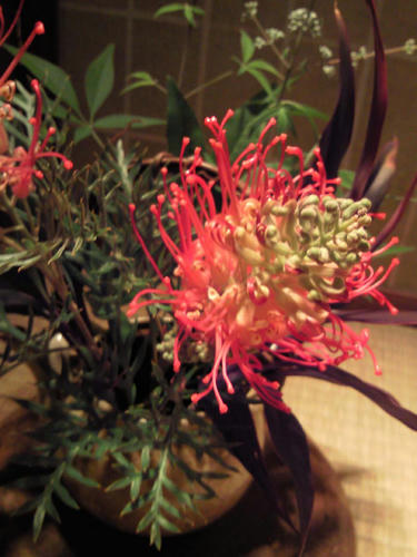 生け花8.23