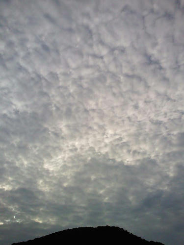 d0924ab0.jpg