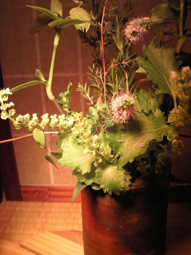 生け花10.4