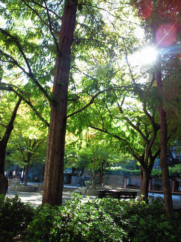 公園11.4　１