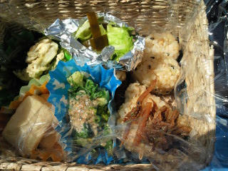 201103241300001.jpg