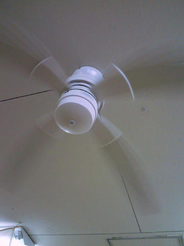 SBCA1737.jpg