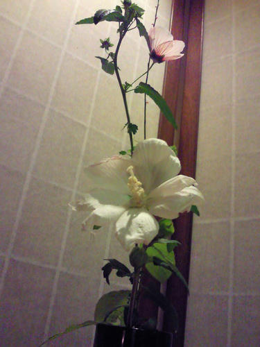flower.jpg