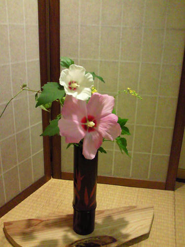 todayflower.jpg