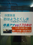 60071775_org.jpg