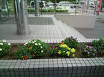 F1010115.jpg