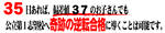 995d847f.jpg