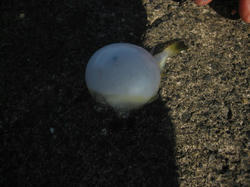 IMG_6571.JPG