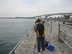 IMG_6591.JPG