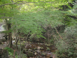 IMG_6662.JPG