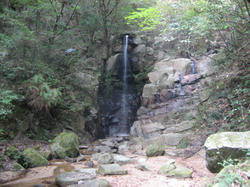 IMG_6675.JPG