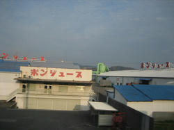 IMG_7168.JPG