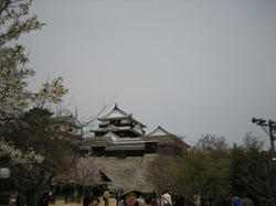 IMG_7242.JPG