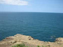 IMG_7667.JPG