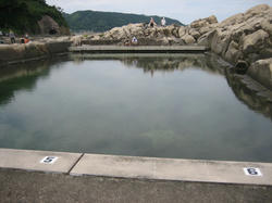 IMG_7743.JPG