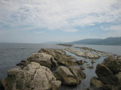 IMG_7744.JPG