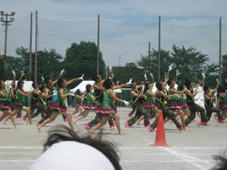 IMG_7820.JPG